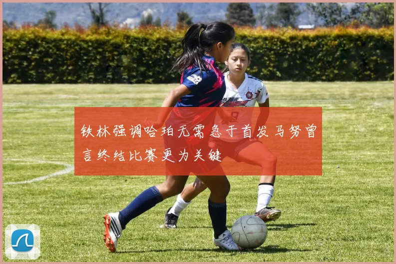 铁林强调哈珀无需急于首发马努曾言终结比赛更为关键